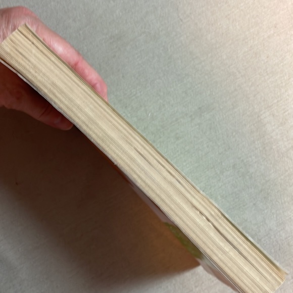 📚2/$6  The Other Boy - Picture 4 of 12